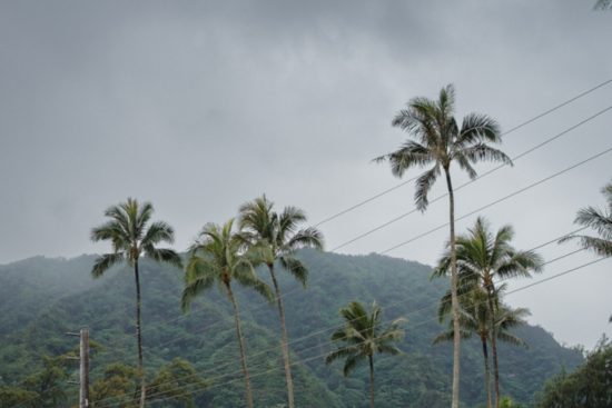 Emiten alertas para Florida tras avance de Imelda