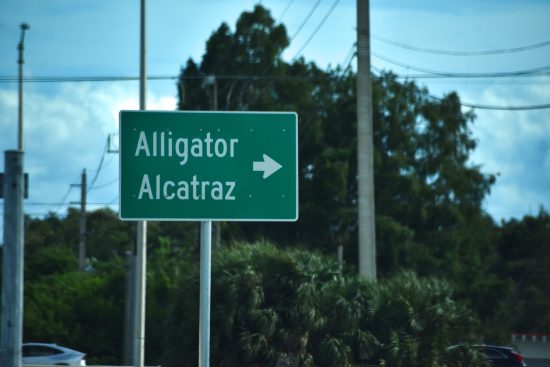 Alligator Alcatraz: Families and Lawyers Denounce Disappearance of Migrants and Their ICE Records