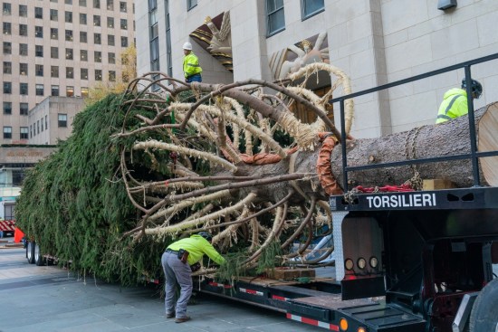 árbol de Navidad, Rockefeller Center, Nueva York MundoNOW