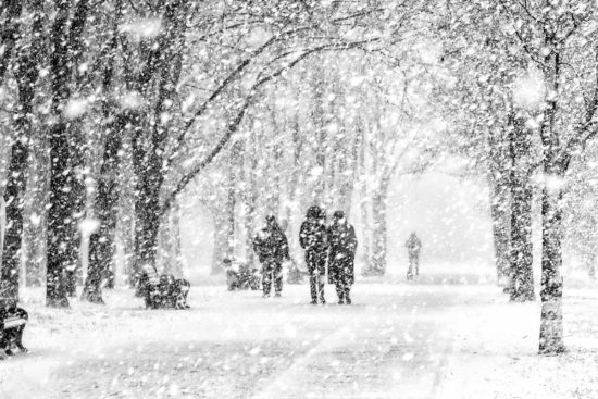 Nevadas inusuales en Florida