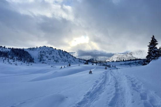 Tormentas invernales en el Noreste