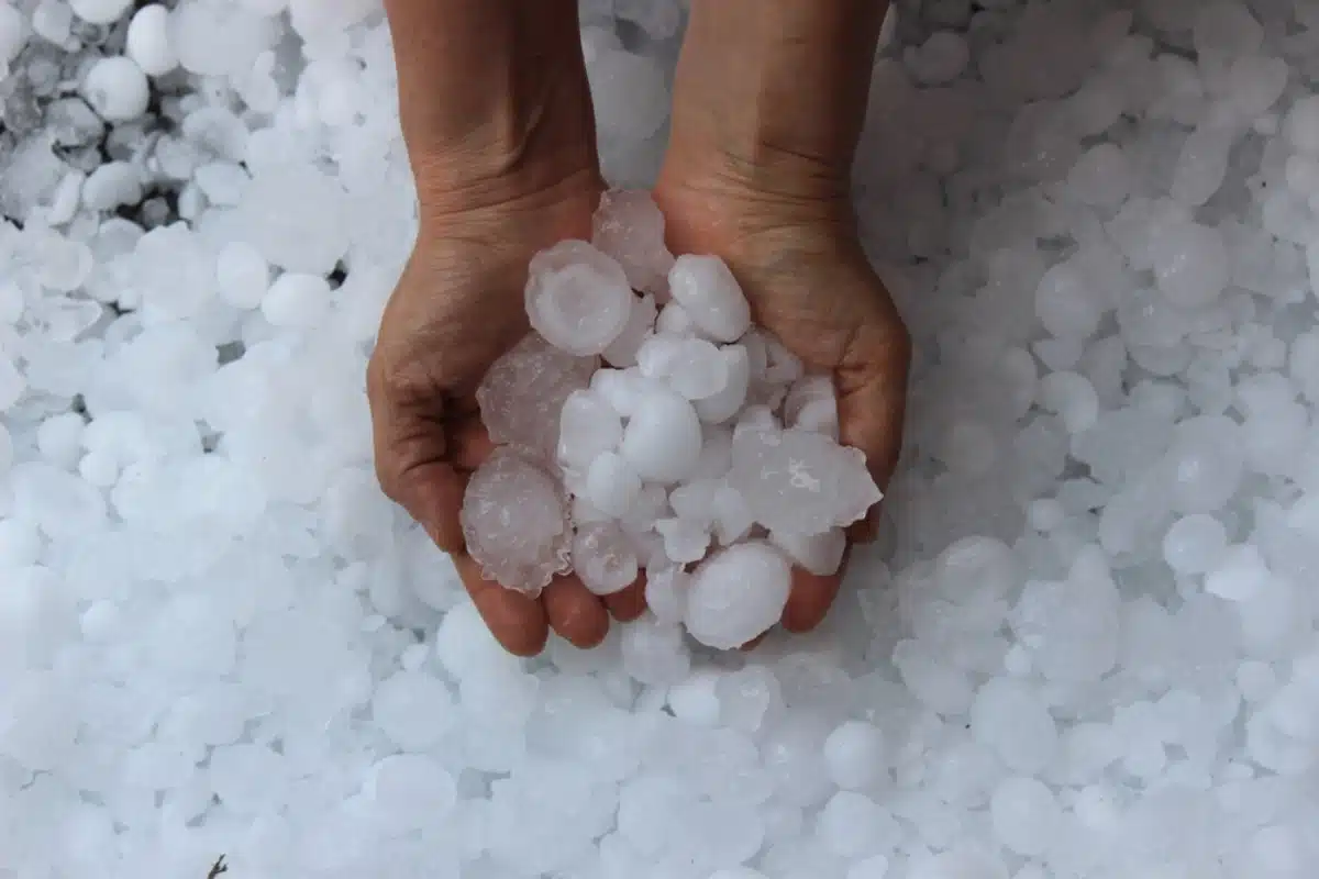 Sistema de tormentas con granizo, US Storm System Threatens Millions