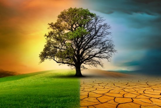 Sequía histórica en EEUU