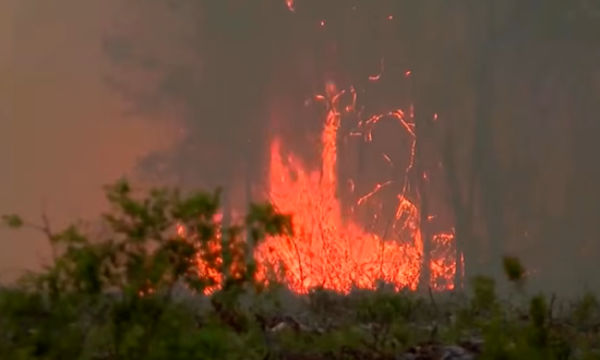incendios, georgia, florida, forestales, emergencia, alerta