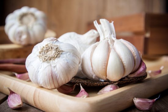 Retiro, Ajo, Toxico, MundoNOW