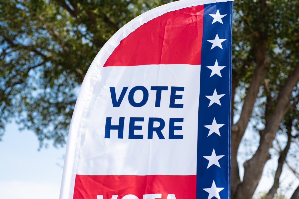 Elecciones en Georgia, Georgia Elections: Voting Suspended in Sandy Springs
