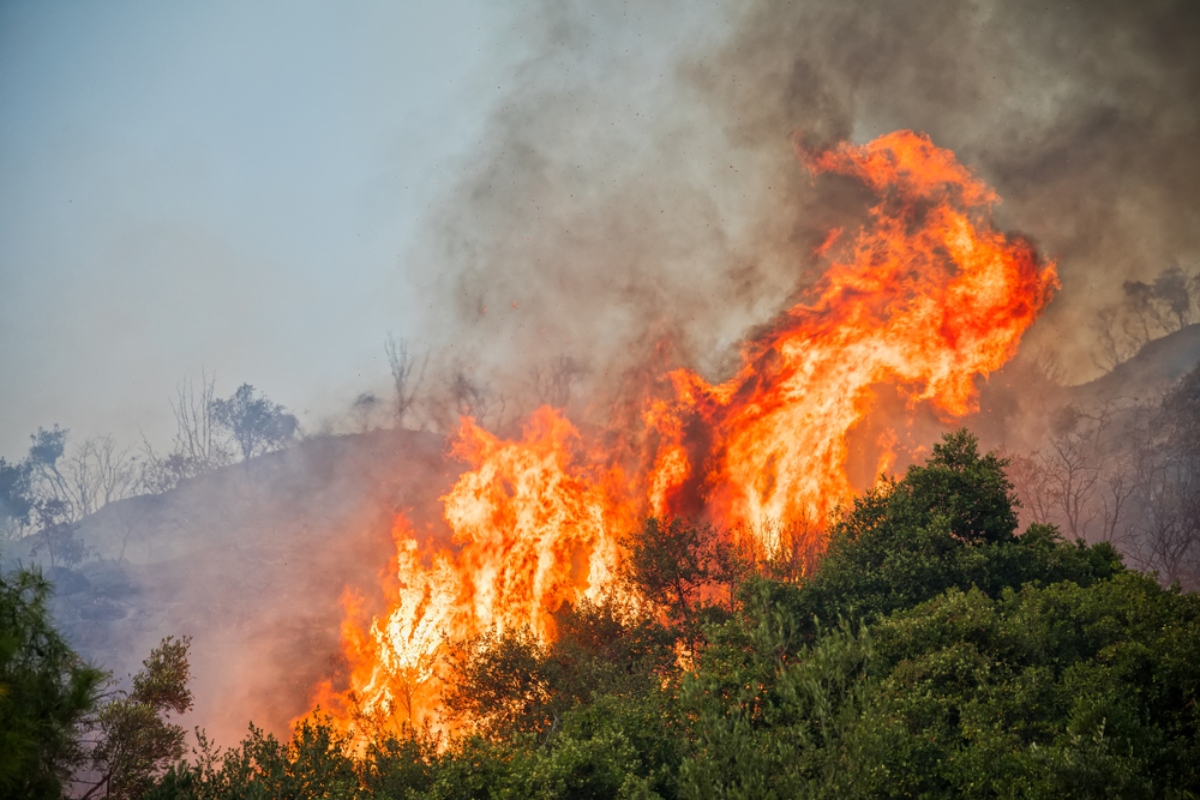 Incendio en los Everglades, Fire in the Everglades: Nearly 5,000 Acres Burned Near Miami