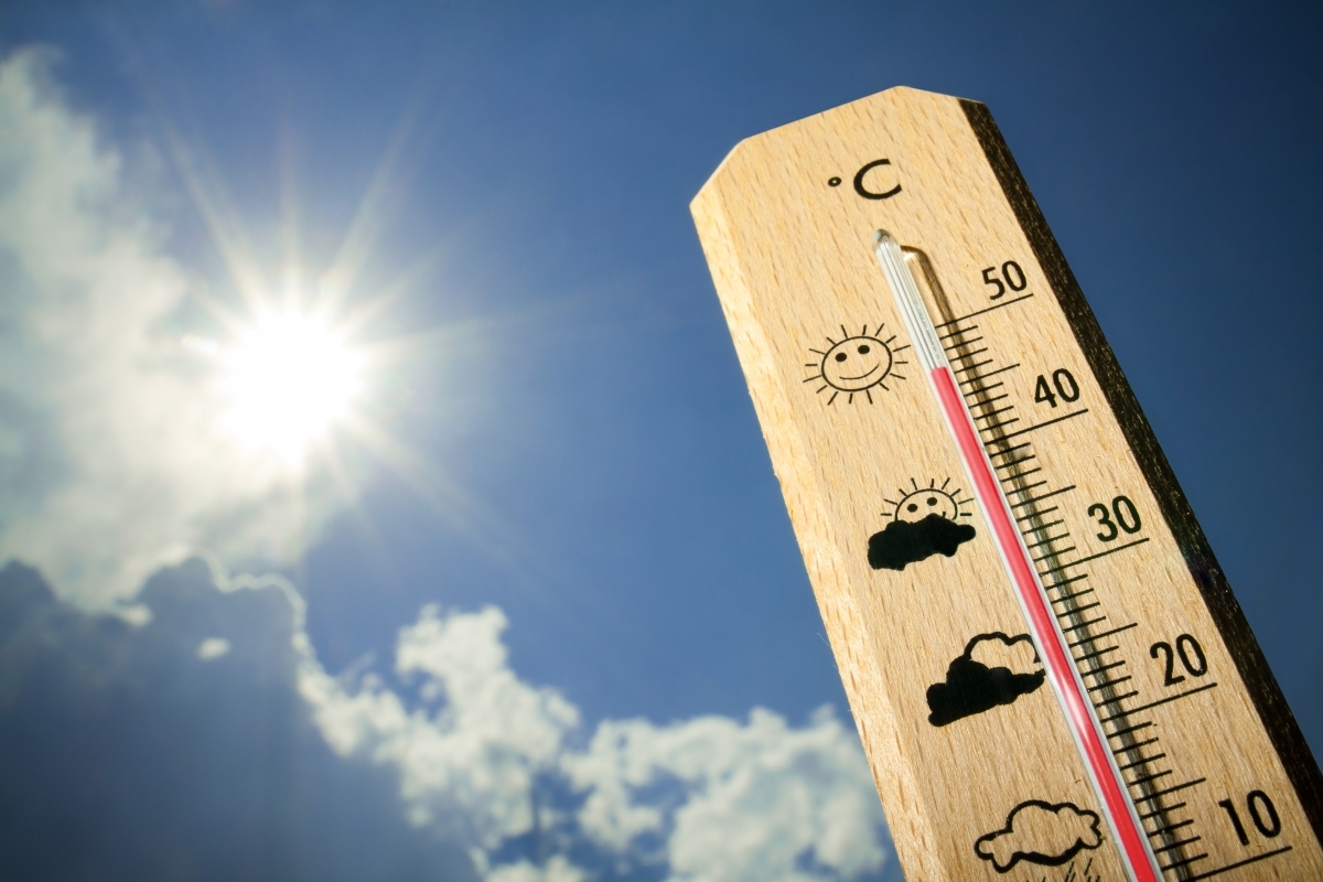 Ola de calor anticipada