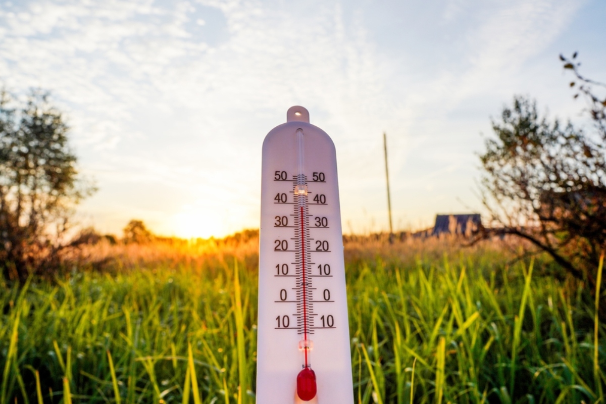 Ola de calor y sequía