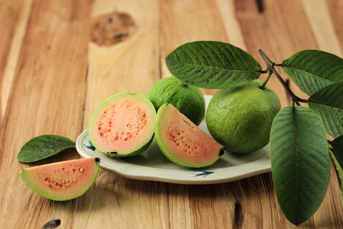 guava, guayaba, hojas, matas, axzucar, salud