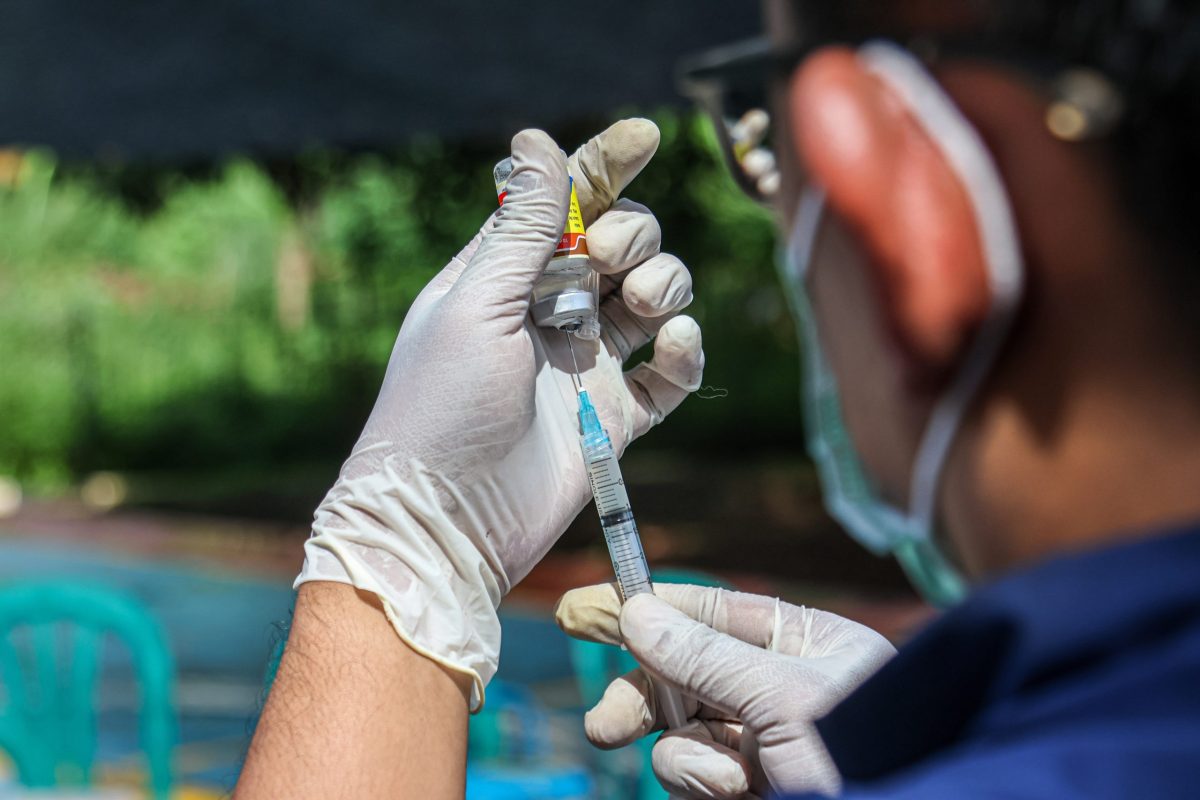 ratones, vacuna, alerta, hantavirus, hantavirus vaccine development