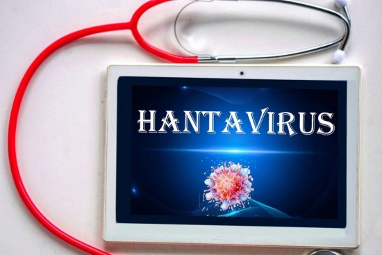 Brote de hantavirus EEUU