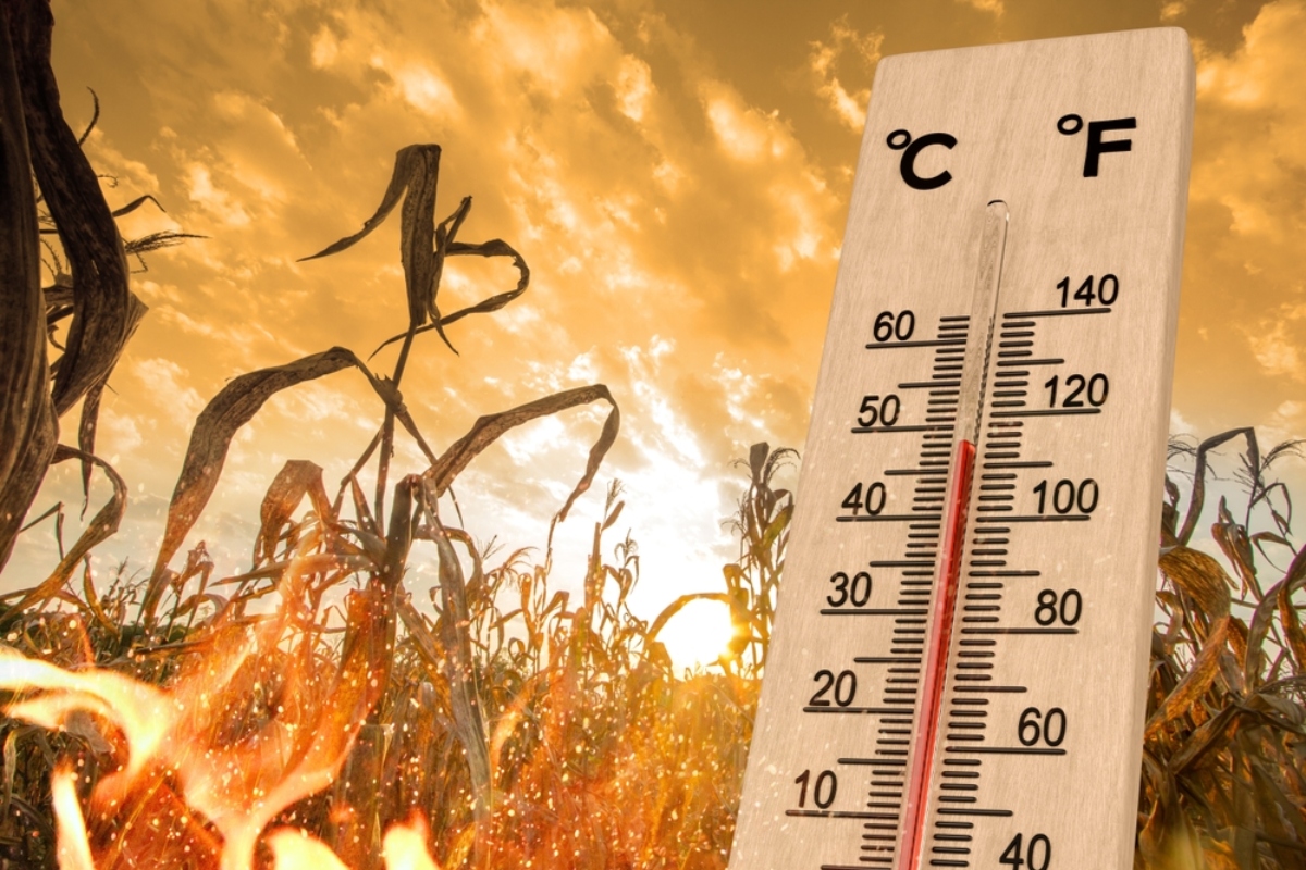 Calor en noreste de EEUU