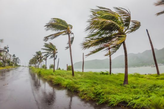Primer tormenta de temporada