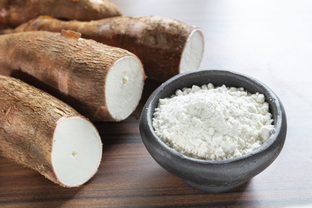 almidon, alimentos, arroz, salud, , expertos 